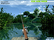 Giochi di Pesca al Lago - Summer Lake Fishing